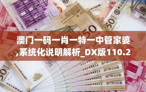 澳门一码一肖一特一中管家婆,系统化说明解析_DX版110.291