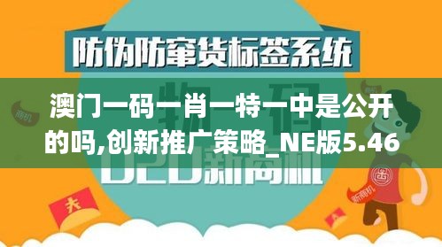 澳门一码一肖一特一中是公开的吗,创新推广策略_NE版5.461