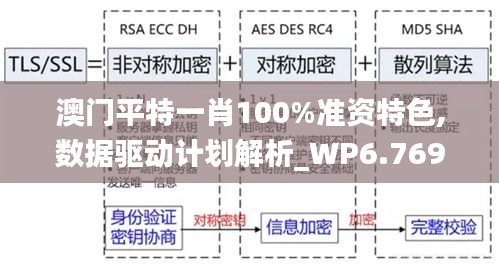 澳门平特一肖100%准资特色,数据驱动计划解析_WP6.769