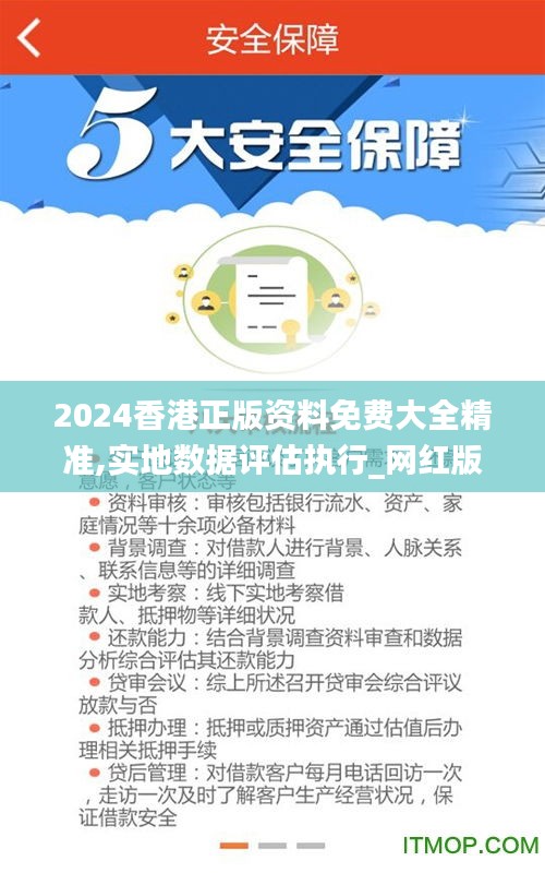 2024香港正版资料免费大全精准,实地数据评估执行_网红版7.319