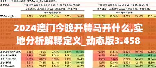 2024澳门今晚开特马开什么,实地分析解释定义_动态版3.458