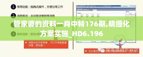 管家婆的资料一肖中特176期,精细化方案实施_HD6.196