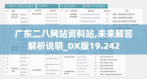 广东二八网站资料站,未来解答解析说明_DX版19.242