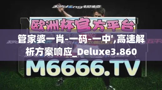 管家婆一肖-一码-一中′,高速解析方案响应_Deluxe3.860