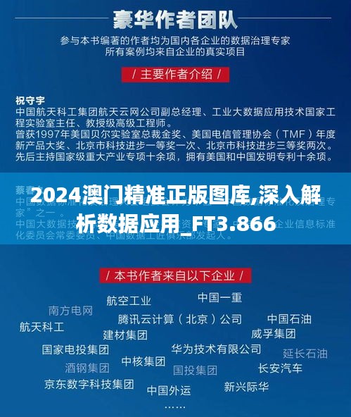 2024澳门精准正版图库,深入解析数据应用_FT3.866