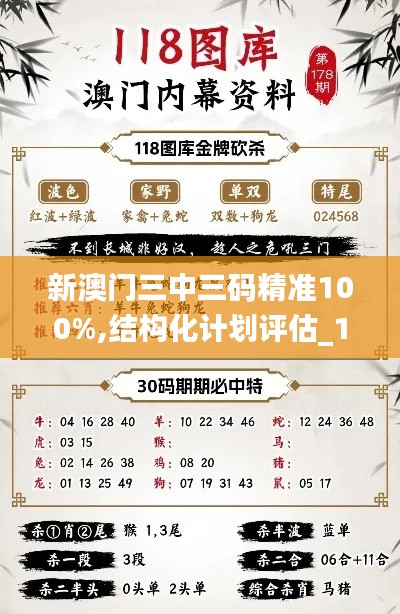 新澳门三中三码精准100%,结构化计划评估_10DM13.494