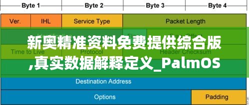 新奥精准资料免费提供综合版,真实数据解释定义_PalmOS5.828