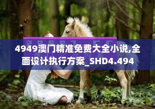 4949澳门精准免费大全小说,全面设计执行方案_SHD4.494