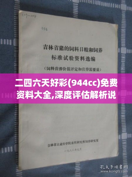 二四六天好彩(944cc)免费资料大全,深度评估解析说明_复古版6.254