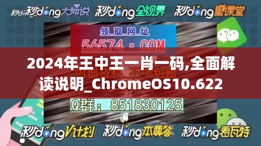 2024年王中王一肖一码,全面解读说明_ChromeOS10.622