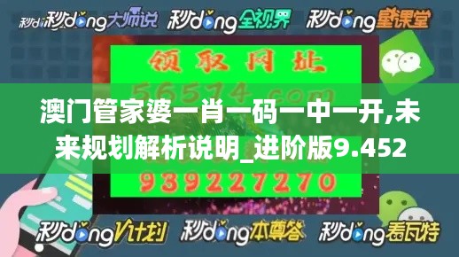 澳门管家婆一肖一码一中一开,未来规划解析说明_进阶版9.452