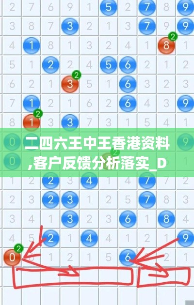 二四六王中王香港资料,客户反馈分析落实_DP4.448