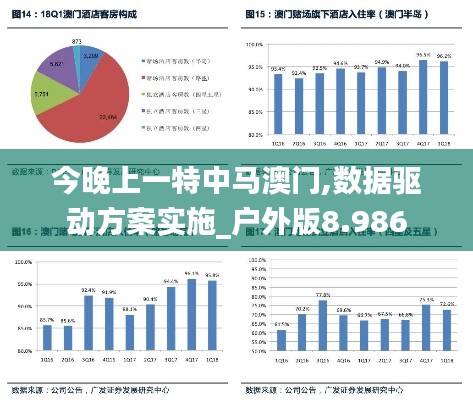 今晚上一特中马澳门,数据驱动方案实施_户外版8.986