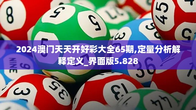 2024澳门天天开好彩大全65期,定量分析解释定义_界面版5.828