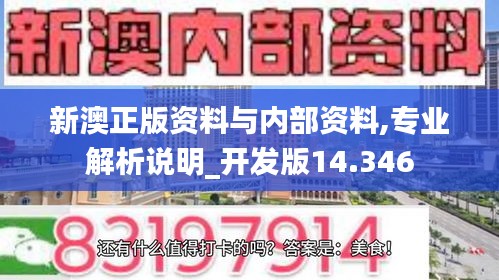 新澳正版资料与内部资料,专业解析说明_开发版14.346