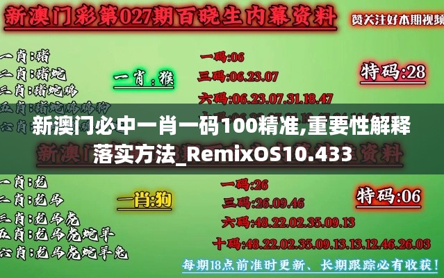 新澳门必中一肖一码100精准,重要性解释落实方法_RemixOS10.433