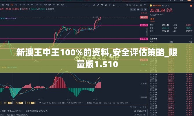 新澳王中王100%的资料,安全评估策略_限量版1.510