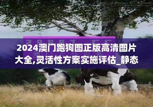 2024澳门跑狗图正版高清图片大全,灵活性方案实施评估_静态版110.283