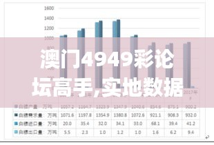 澳门4949彩论坛高手,实地数据评估策略_交互版4.857