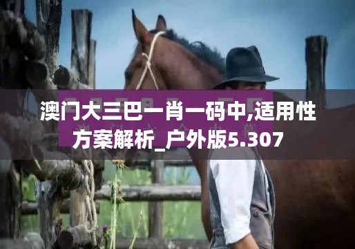 澳门大三巴一肖一码中,适用性方案解析_户外版5.307