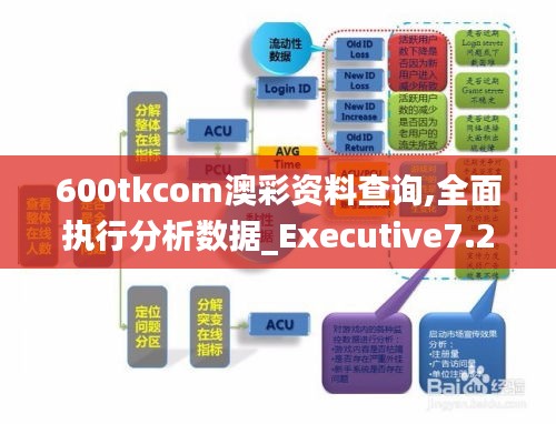 600tkcom澳彩资料查询,全面执行分析数据_Executive7.266