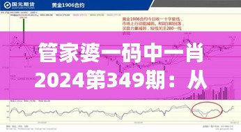 管家婆一码中一肖2024第349期：从精准预测到深入分析的秘密武器