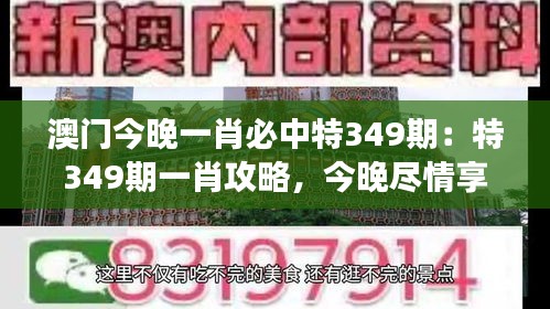 澳门今晚一肖必中特349期：特349期一肖攻略，今晚尽情享受游戏乐趣