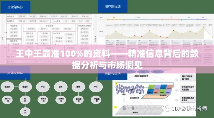 王中王最准100%的资料——精准信息背后的数据分析与市场洞见