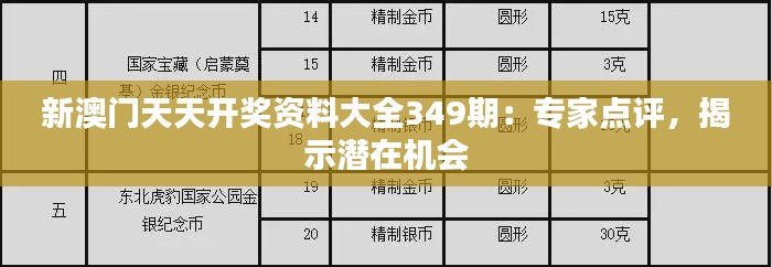 新澳门天天开奖资料大全349期：专家点评，揭示潜在机会