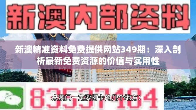 新澳精准资料免费提供网站349期：深入剖析最新免费资源的价值与实用性