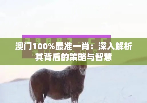 澳门100%最准一肖：深入解析其背后的策略与智慧