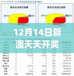 社区活动 第25页