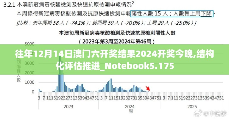 往年12月14日澳门六开奖结果2024开奖今晚,结构化评估推进_Notebook5.175