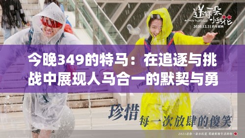 今晚349的特马：在追逐与挑战中展现人马合一的默契与勇气