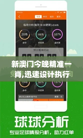 新澳门今晚精准一肖,迅速设计执行方案_挑战版7.367