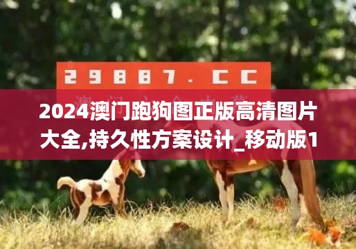 2024澳门跑狗图正版高清图片大全,持久性方案设计_移动版19.702