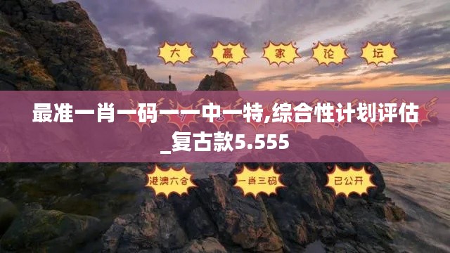 最准一肖一码一一中一特,综合性计划评估_复古款5.555