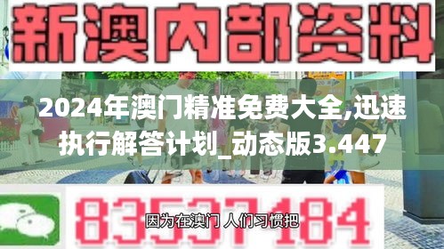 2024年澳门精准免费大全,迅速执行解答计划_动态版3.447