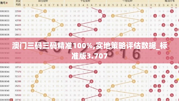 澳门三码三码精准100%,实地策略评估数据_标准版3.707