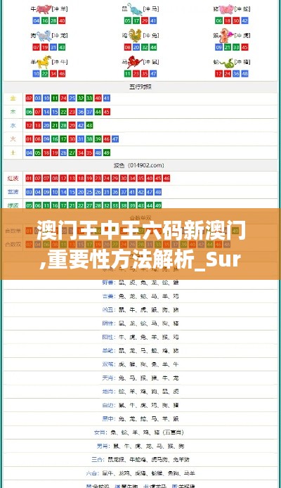 澳门王中王六码新澳门,重要性方法解析_Surface3.437