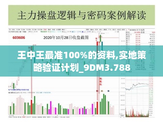 王中王最准100%的资料,实地策略验证计划_9DM3.788