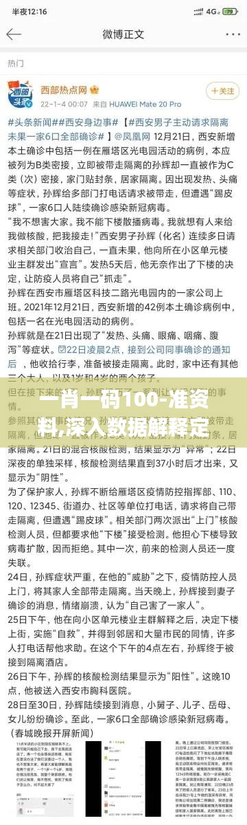 一肖一码100-准资料,深入数据解释定义_挑战款5.873