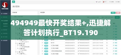 494949最快开奖结果+,迅捷解答计划执行_BT19.190