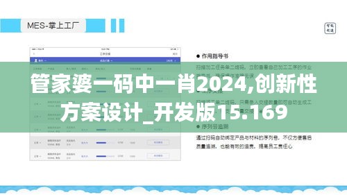 管家婆一码中一肖2024,创新性方案设计_开发版15.169