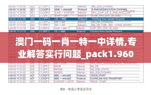 澳门一码一肖一特一中详情,专业解答实行问题_pack1.960