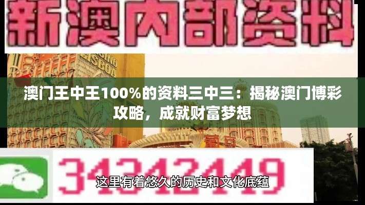 澳门王中王100%的资料三中三：揭秘澳门博彩攻略，成就财富梦想