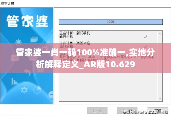 管家婆一肖一码100%准确一,实地分析解释定义_AR版10.629