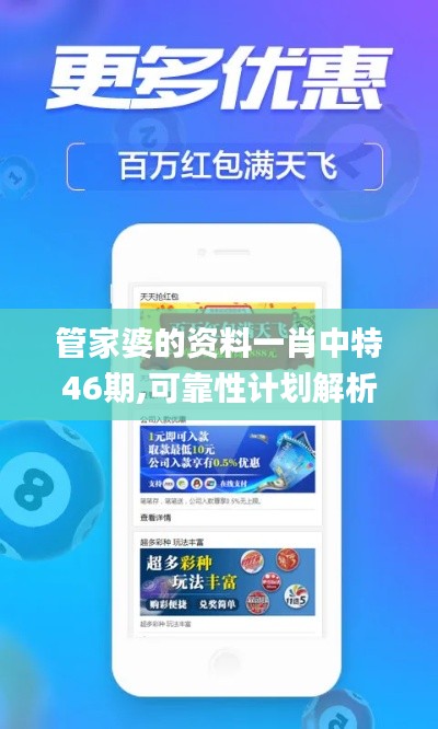 管家婆的资料一肖中特46期,可靠性计划解析_复刻款5.880