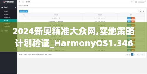 2024新奥精准大众网,实地策略计划验证_HarmonyOS1.346