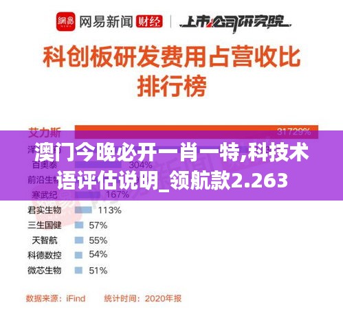 澳门今晚必开一肖一特,科技术语评估说明_领航款2.263